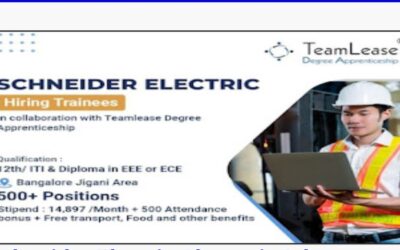 Schneider Electric Company Job Vaccancy!